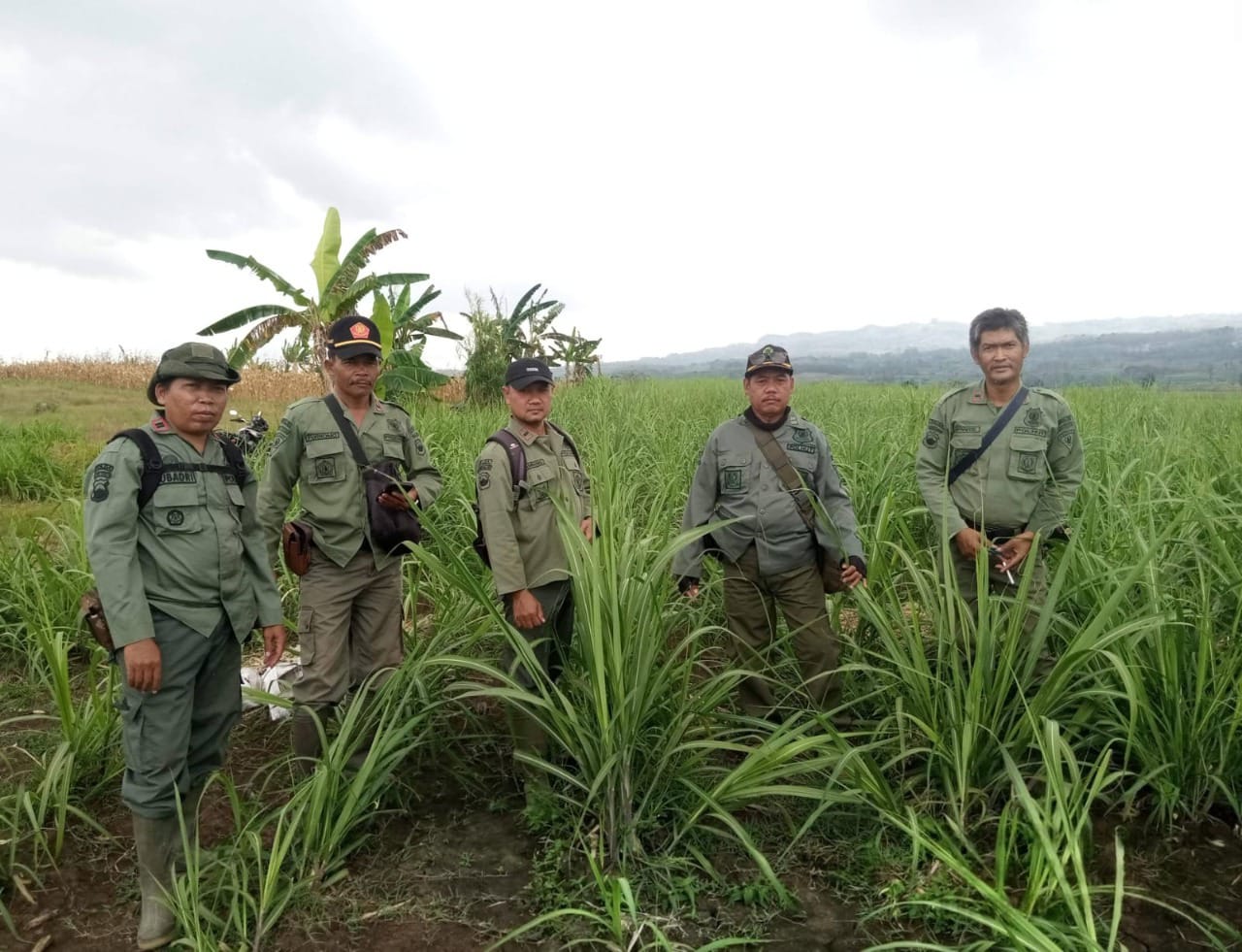 WhatsApp Image 2025-09-12 at 09.07.52(1)