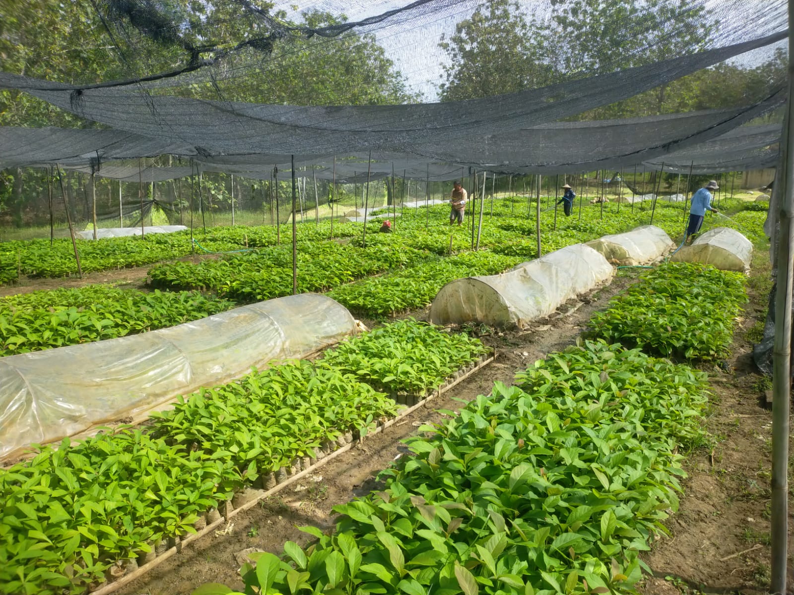 WhatsApp Image 2025-09-13 at 18.15.57