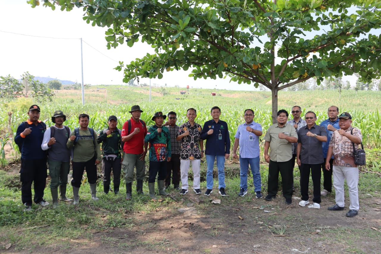 WhatsApp Image 2025-09-26 at 09.55.31