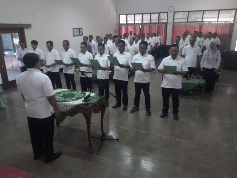 WhatsApp Image 2025-09-29 at 16.36.31_606a105f