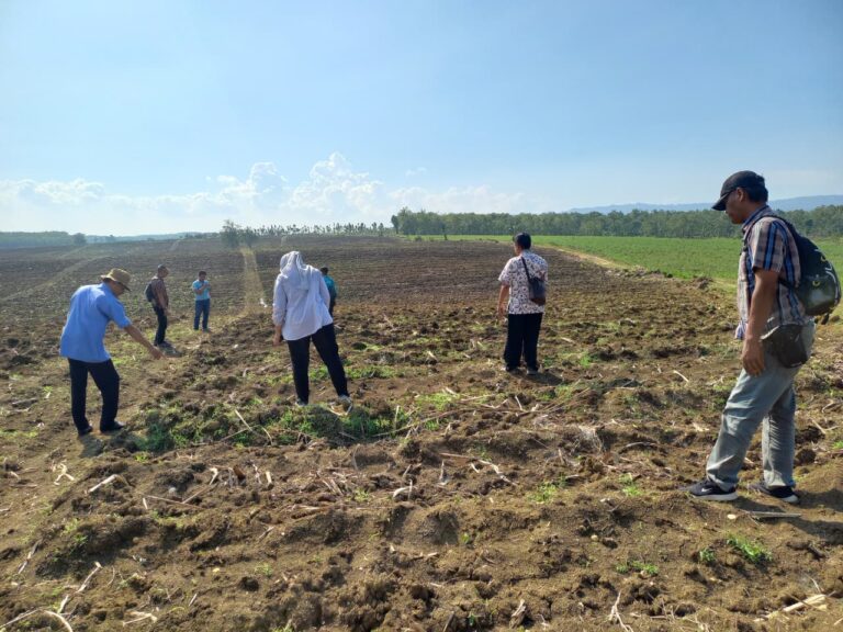 WhatsApp Image 2025-10-03 at 10.28.22