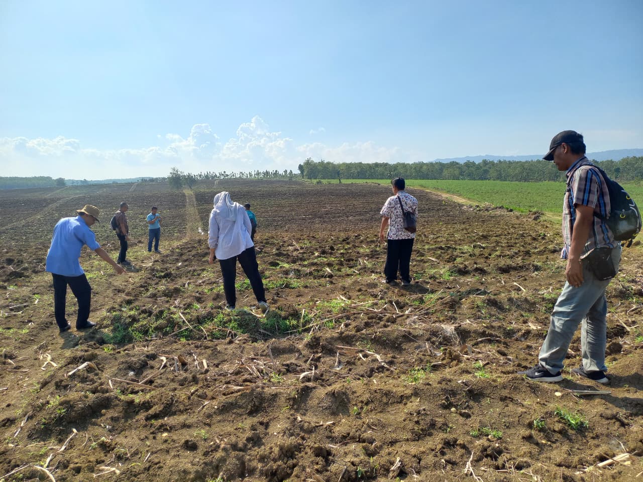 WhatsApp Image 2025-10-03 at 10.28.22