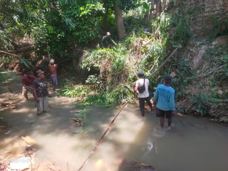 WhatsApp Image 2025-10-07 at 11.41.11