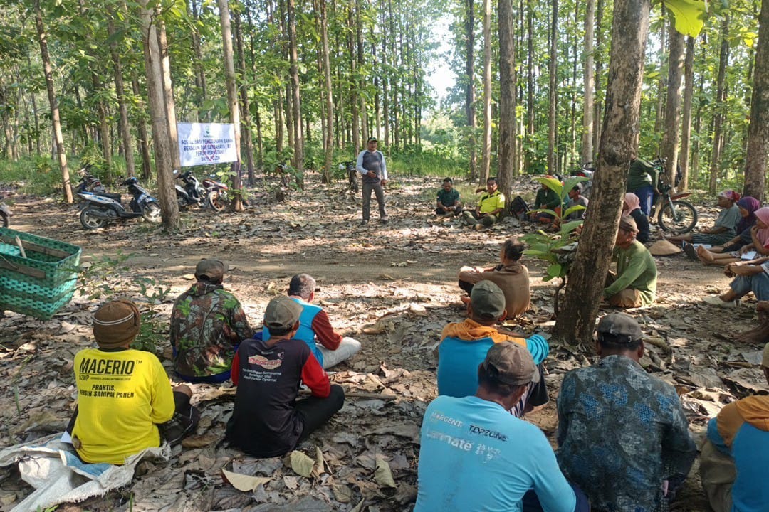 WhatsApp Image 2025-10-10 at 08.19.17