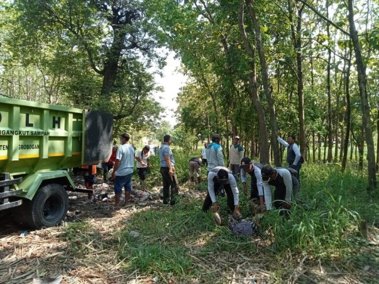 WhatsApp Image 2025-10-10 at 19.15.25