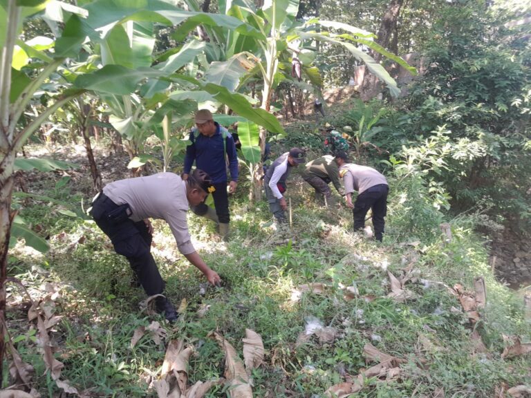 WhatsApp Image 2025-10-11 at 09.40.03