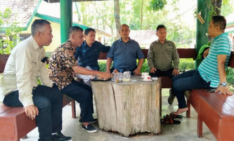 WhatsApp Image 2025-10-21 at 14.12.57_ab780e02-8a8cecdf-c00e-4abf-84cd-7310b7bd4e59