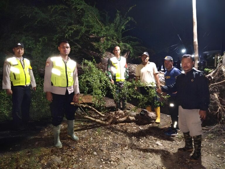 WhatsApp Image 2025-10-21 at 16.59.52 (1)