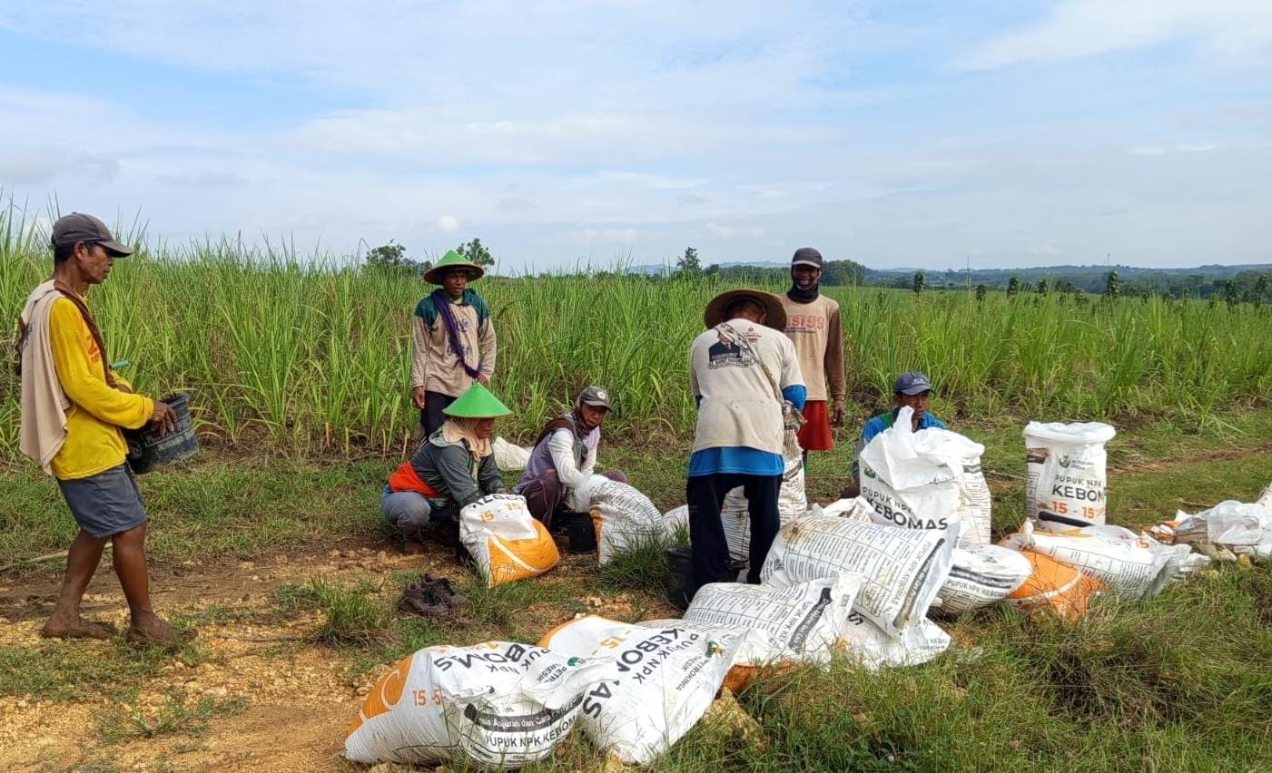 WhatsApp Image 2025-10-23 at 08.21.44