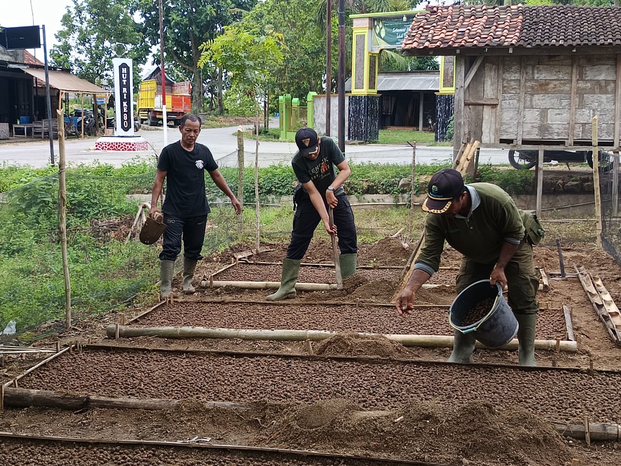 WhatsApp Image 2025-10-23 at 12.53.27