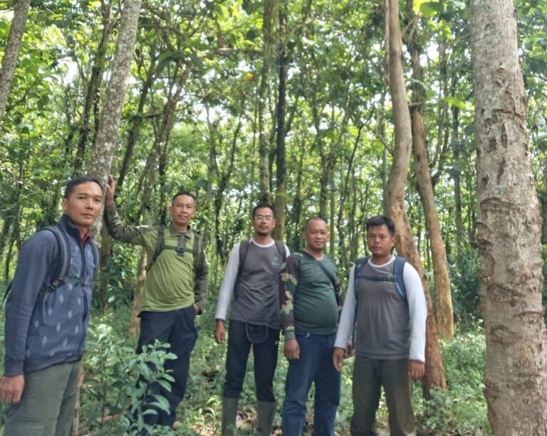 WhatsApp Image 2025-10-25 at 07.47.09