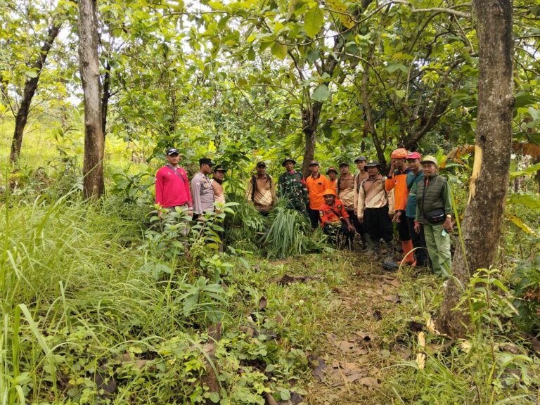 WhatsApp Image 2025-10-25 at 10.18.23