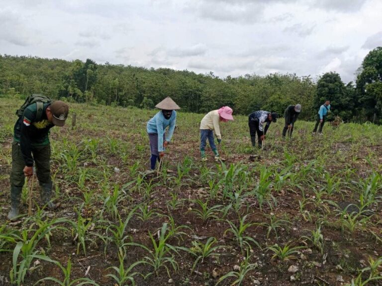 WhatsApp Image 2025-10-25 at 10.53.04