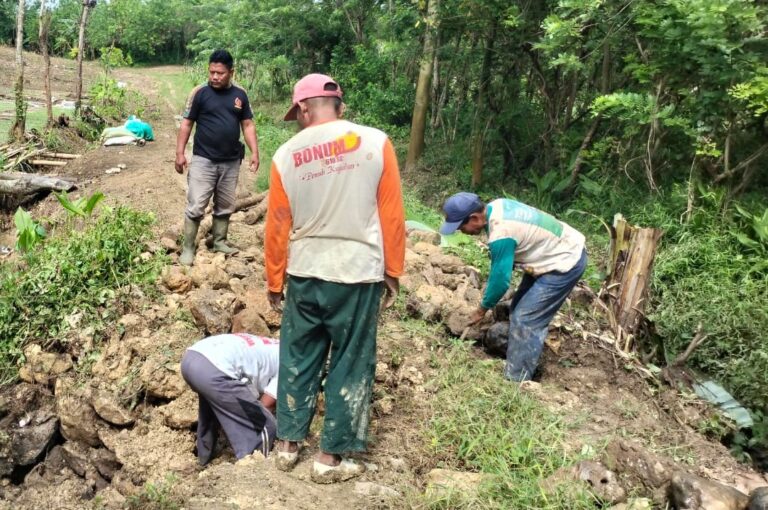 WhatsApp Image 2025-10-25 at 15.05.50