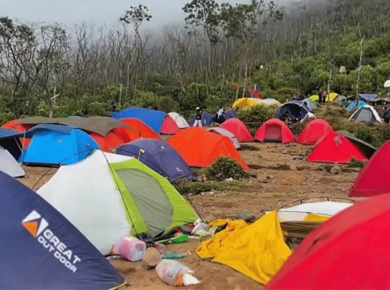 WhatsApp Image 2025-10-27 at 11.26.03_85bee3d6-6d2d770e-b8a6-4169-803c-d9bcd4760357