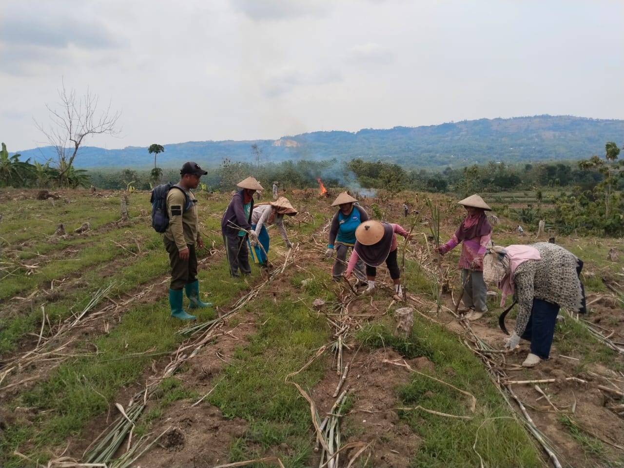 WhatsApp Image 2025-10-27 at 12.59.44