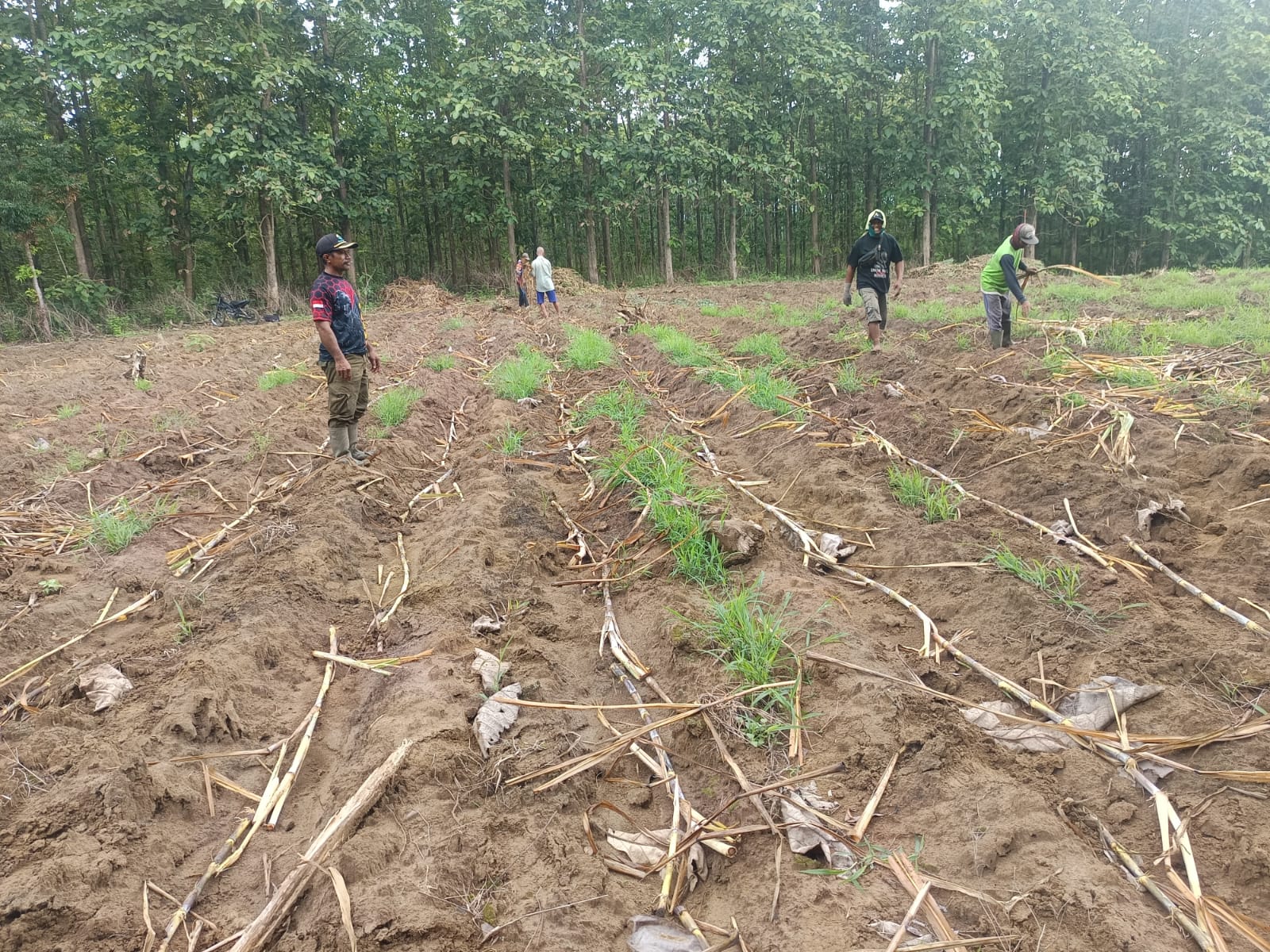 WhatsApp Image 2025-10-28 at 09.32.35