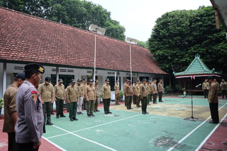 WhatsApp Image 2025-10-28 at 20.12.11