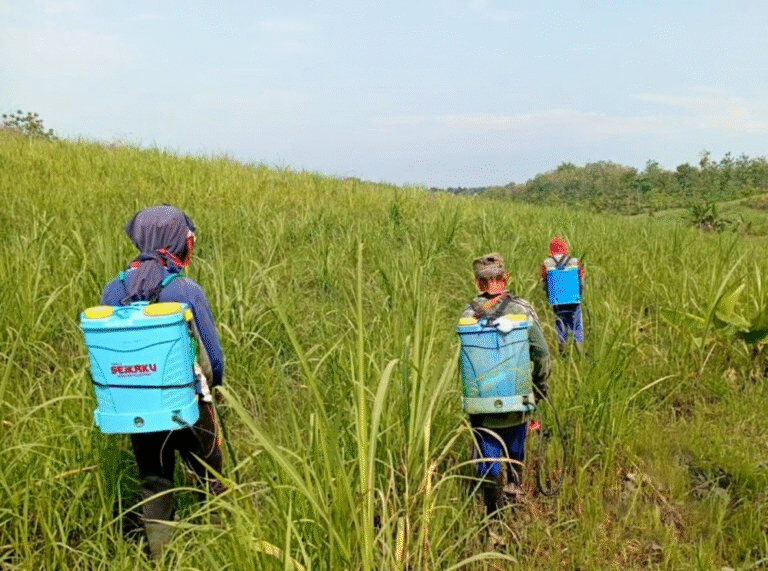 WhatsApp Image 2025-10-29 at 05.41.10_f9ae1a9f-b3dbf92b-956b-426d-a68a-a0fa94a31839