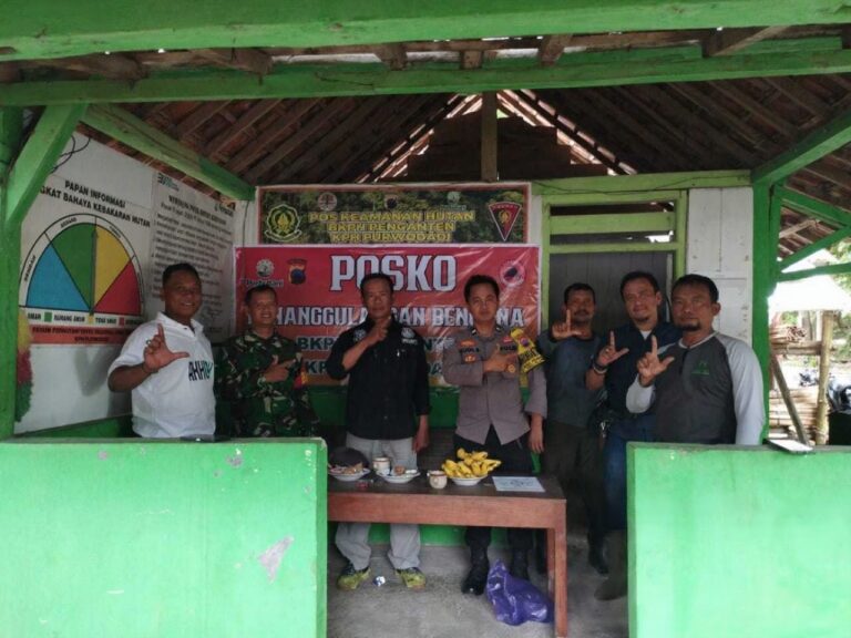 WhatsApp Image 2025-10-29 at 10.31.03