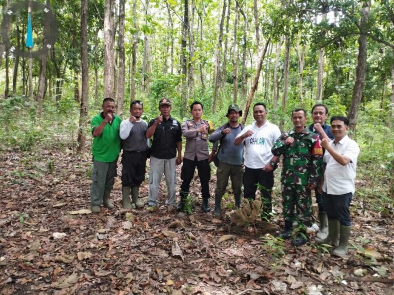 WhatsApp Image 2025-10-29 at 12.17.36