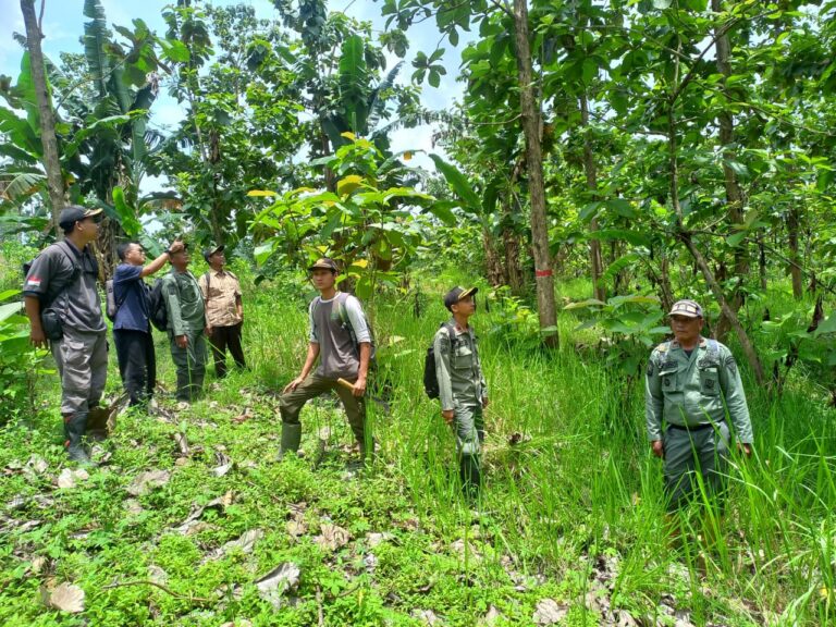 WhatsApp Image 2025-10-30 at 12.19.39