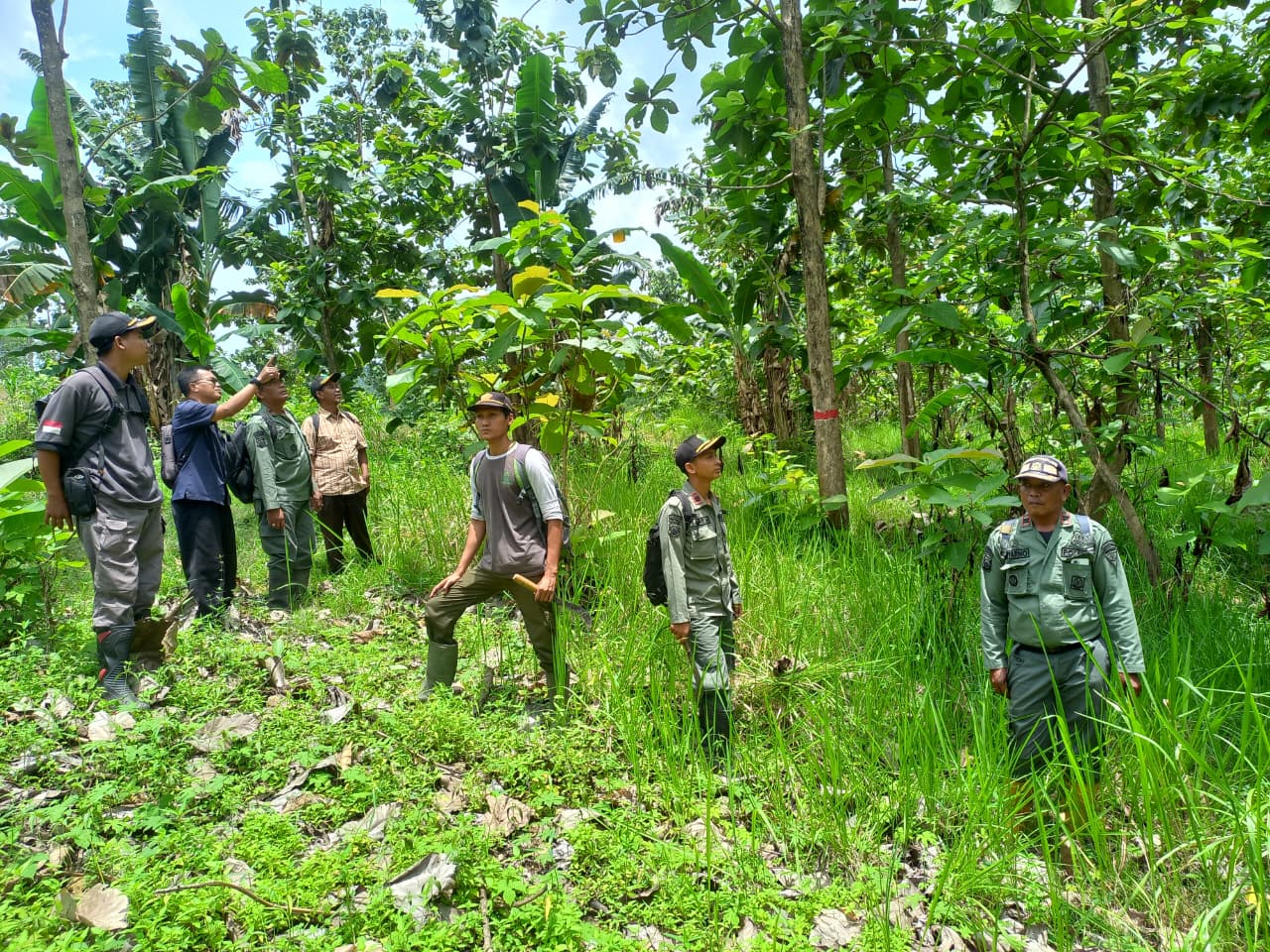 WhatsApp Image 2025-10-30 at 12.19.39