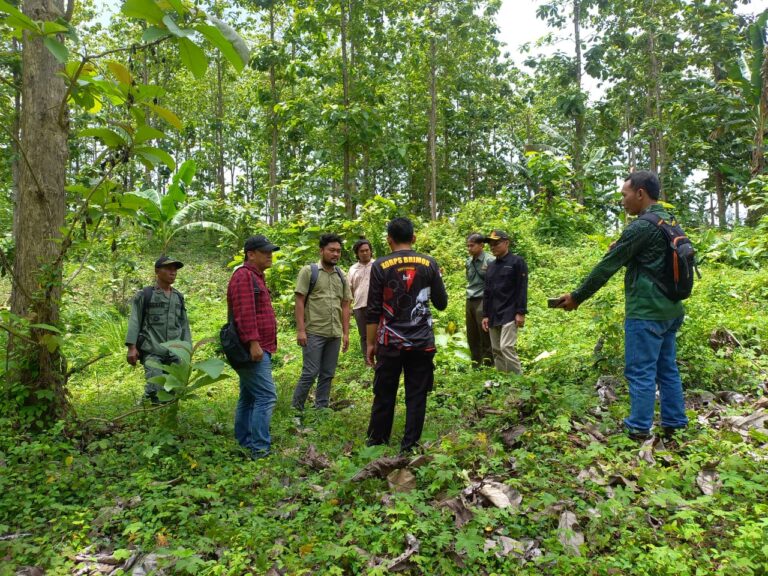 WhatsApp Image 2025-10-30 at 18.55.14