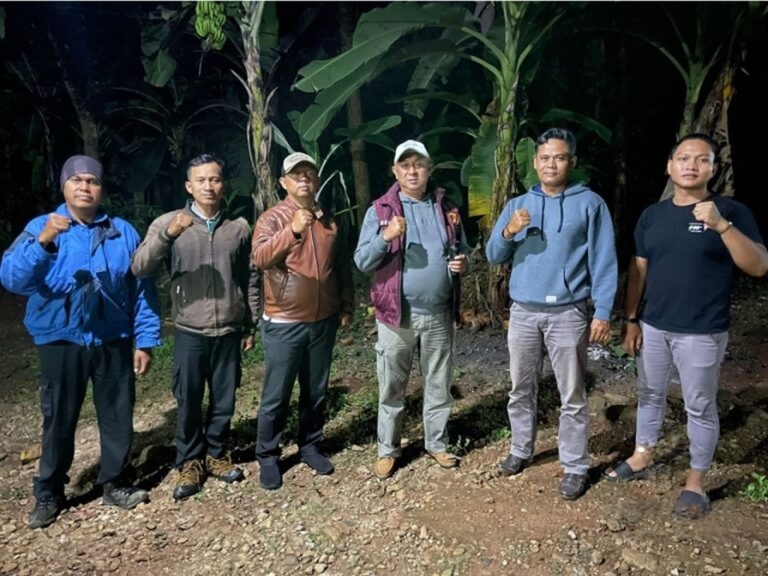 wmremove-transformed (1)