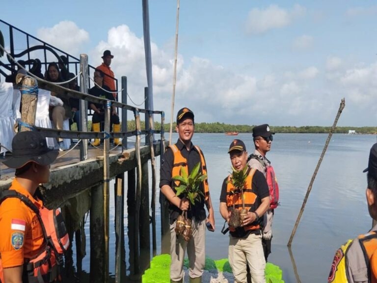 wmremove-transformed (1)