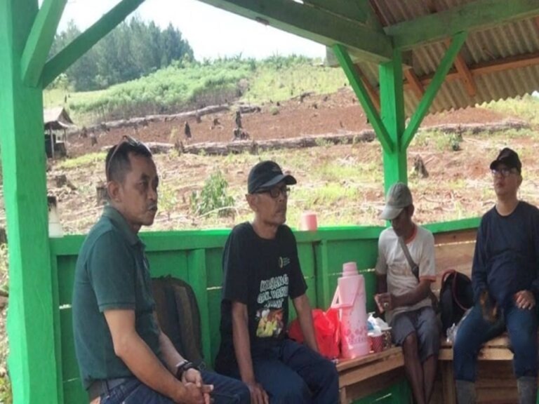 wmremove-transformed (3)