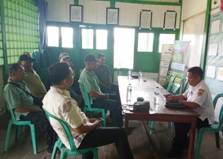 wmremove-transformed (7)