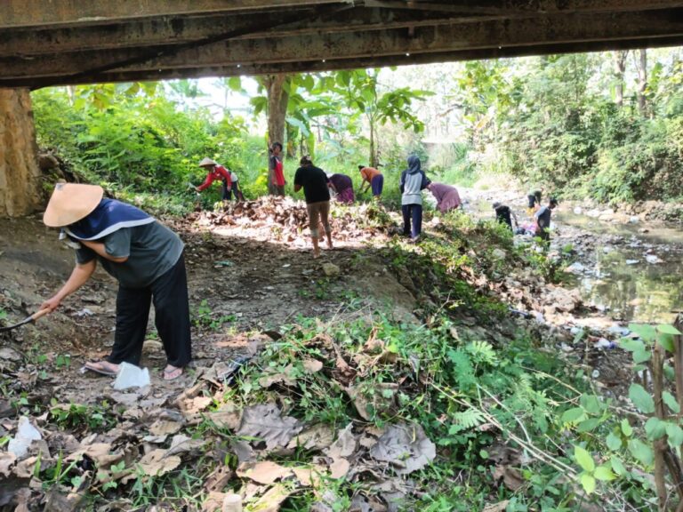 wmremove-transformed(2)