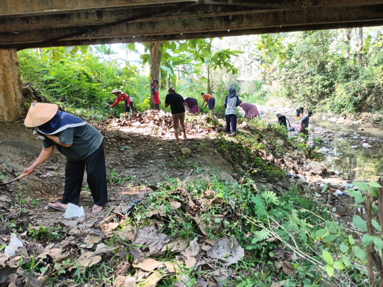 wmremove-transformed(2)