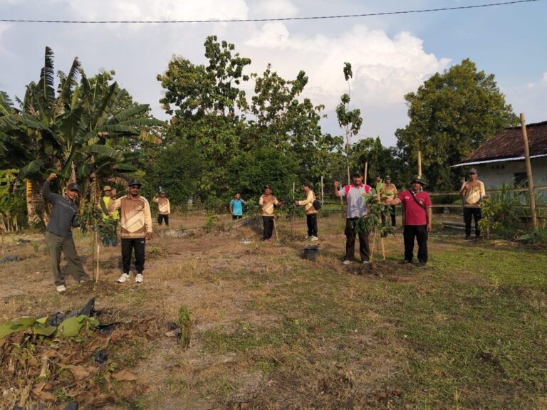 wmremove-transformed(3)