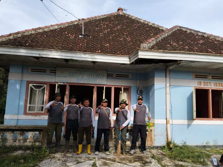 wmremove-transformed(6)