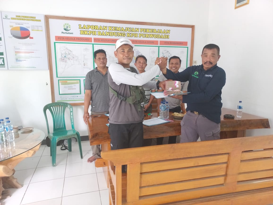 wmremove-transformed(7)