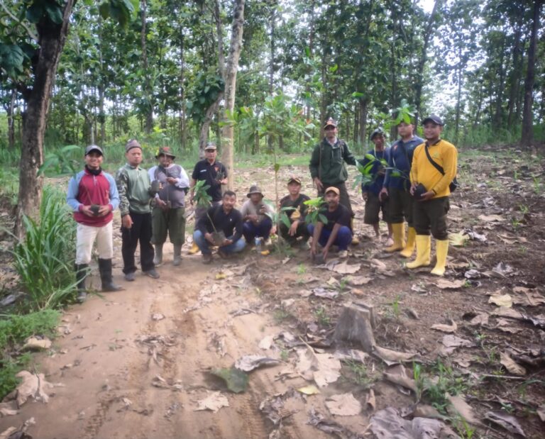 wmremove-transformed(8)