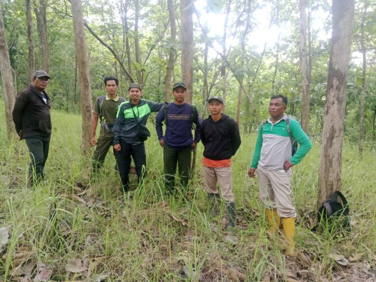 wmremove-transformed(9)