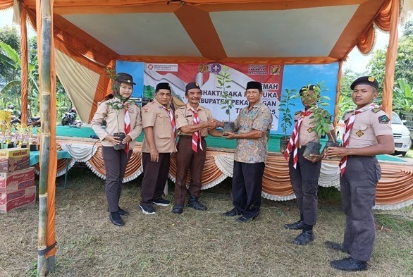 DeWatermark.ai_1762482277505