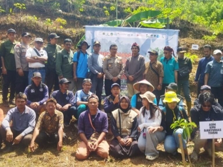 DeWatermark.ai_1762482910919