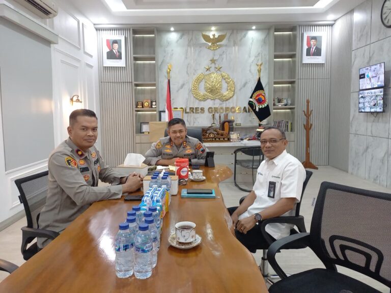 WhatsApp Image 2025-11-03 at 13.34.34