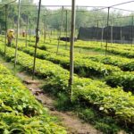 WhatsApp Image 2025-11-03 at 17.16.00