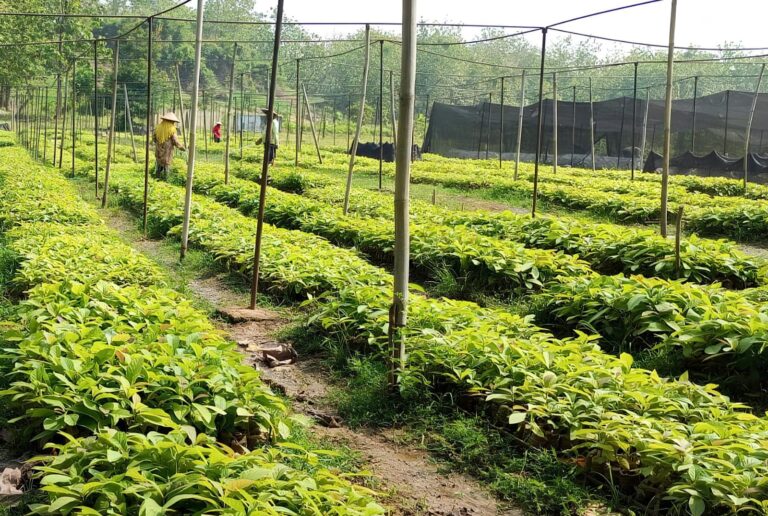 WhatsApp Image 2025-11-03 at 17.16.00