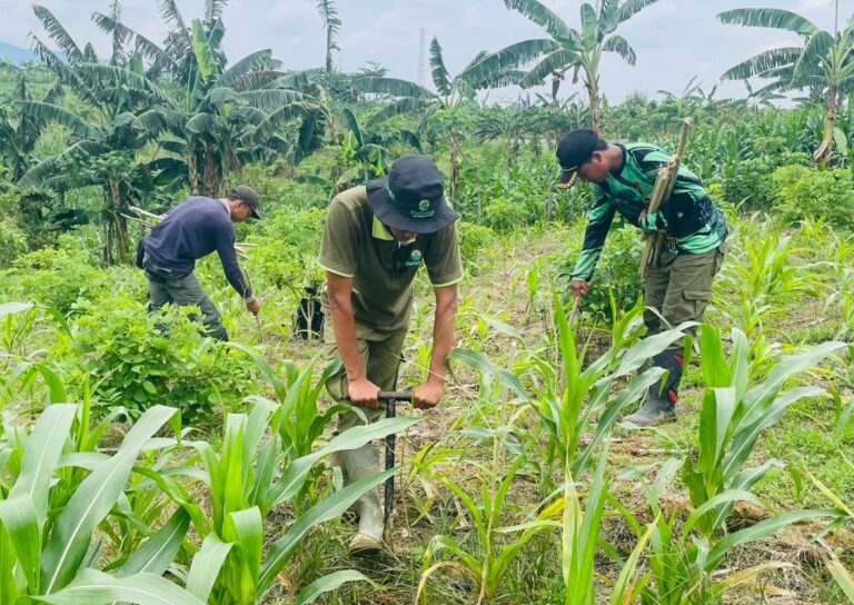 WhatsApp Image 2025-11-04 at 11.53.52