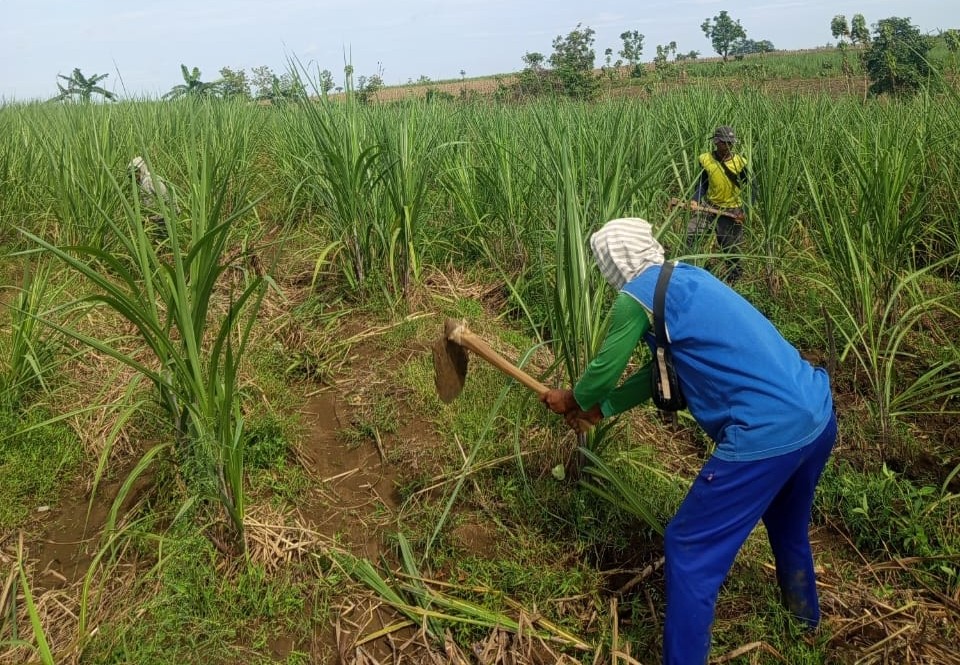 WhatsApp Image 2025-11-06 at 08.07.17