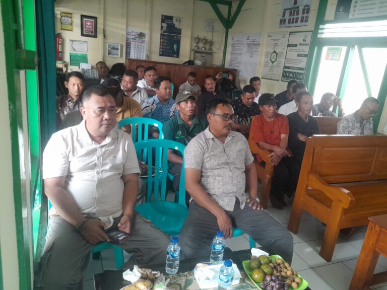 WhatsApp Image 2025-11-06 at 12.50.30