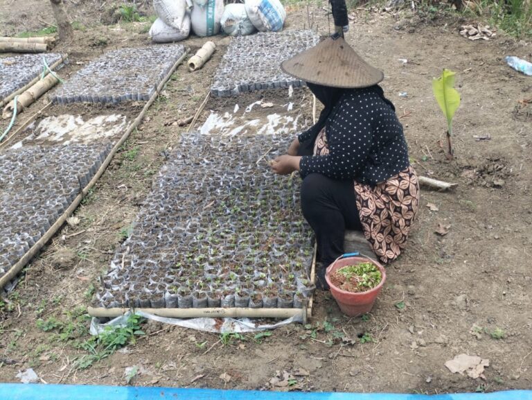 WhatsApp Image 2025-11-06 at 15.56.15