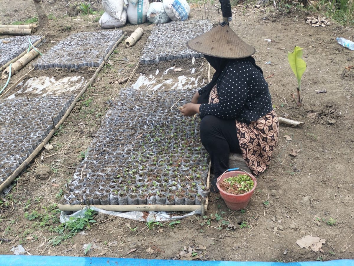 WhatsApp Image 2025-11-06 at 15.56.15