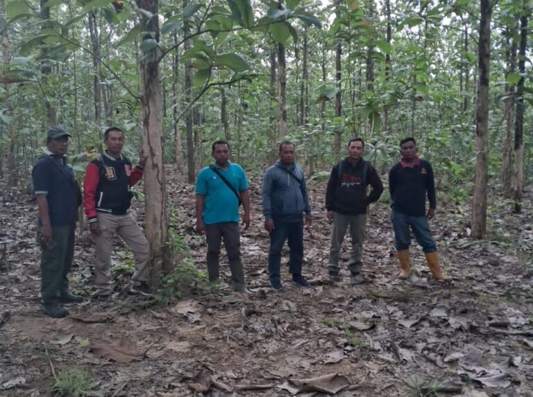 WhatsApp Image 2025-11-06 at 16.42.54